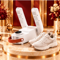 Smart Shoe Dryer